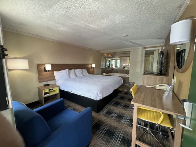 Deluxe Room, 1 King Bed, Non Smoking