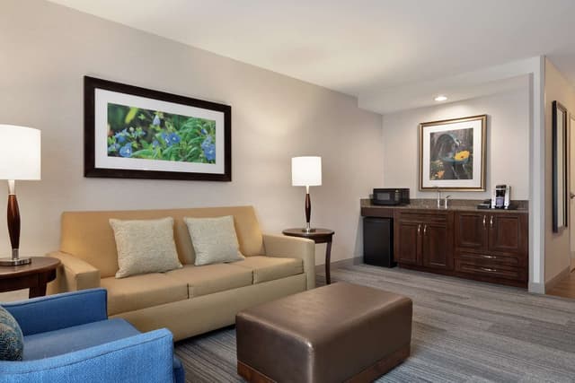 1 KING BED 1 BEDROOM SUITE