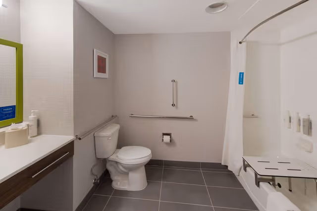 1 KING MOBILITY ACCESS WITH TUB NONSMOKING