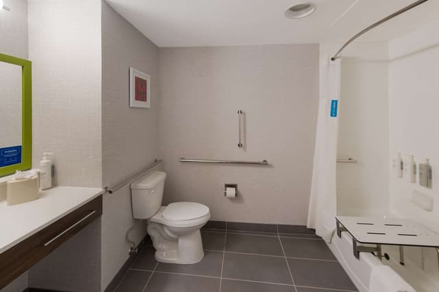 1 KING MOBILITY ACCESS WITH TUB NONSMOKING