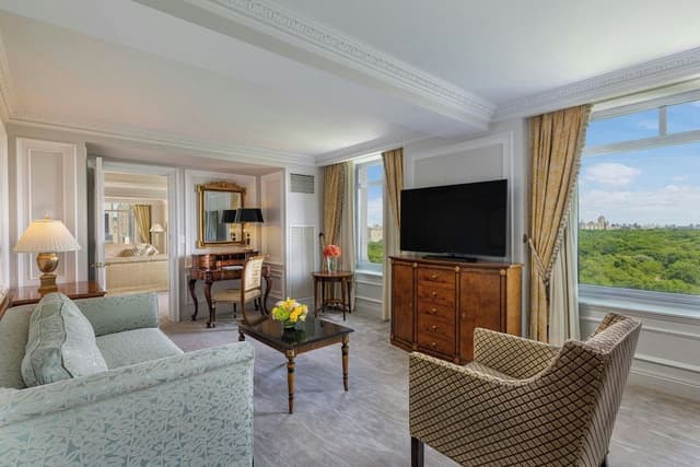 Suite, 1 King Bed with Sofa bed