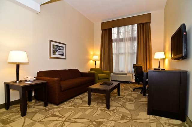 Room, 1 King Bed, Non Smoking, Jetted Tub (Walk-in Shower;with Sofabed)