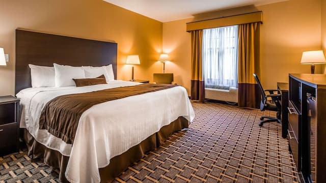 Room, 1 King Bed, Non Smoking, Jetted Tub (Walk-in Shower;with Sofabed)