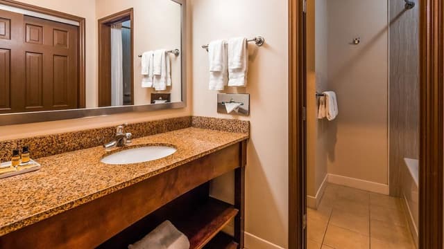Room, 1 King Bed, Non Smoking, Jetted Tub (Walk-in Shower;with Sofabed)