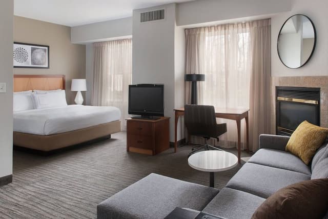 Studio Suite, 1 King Bed with Sofa bed