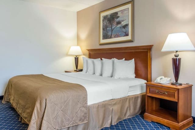 Room, 1 King Bed, Accessible, Non Smoking