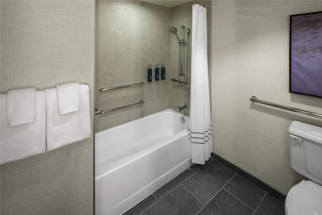 1 KING MOBILITY ACCESSIBLE W/ BATHTUB NO SMOK