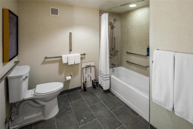 1 KING MOBILITY ACCESSIBLE W/ BATHTUB NO SMOK