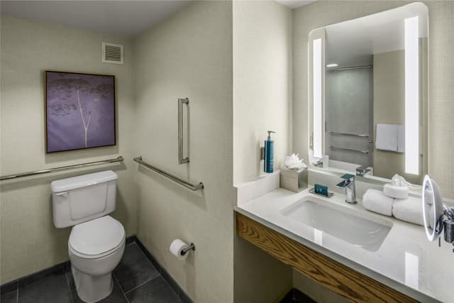 1 KING MOBILITY ACCESSIBLE W/ BATHTUB NO SMOK