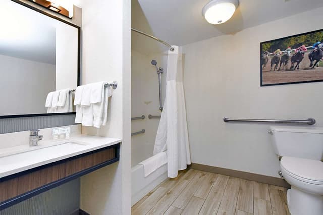 1 KING MOBILITY HEARING ACCESSIBLE W/BATHTUB