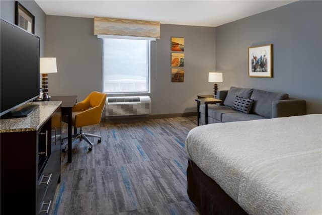 1 KING BED ROOM WITH SOFABED NONSMOKING