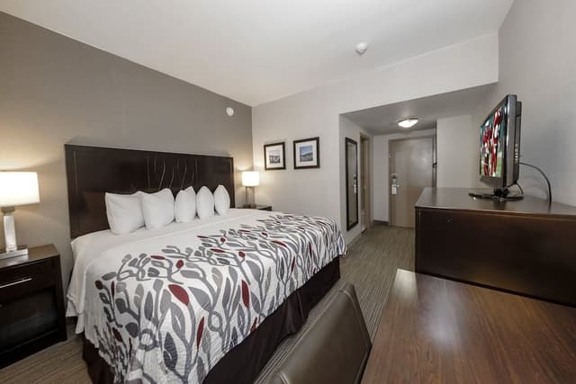 Superior Room, 1 King Bed, Non Smoking