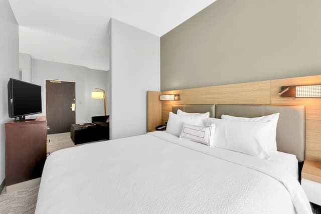 Studio, 1 King Bed with Sofa bed