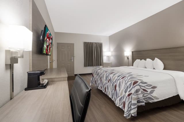 Superior Room, 1 King Bed, Accessible, Non Smoking (Roll-In Shower)