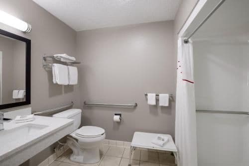 ADA Acessible Superior King Roll-In Shower Non-Smoking