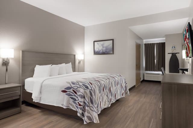 Superior Room, 1 King Bed, Accessible, Non Smoking (Roll-In Shower)