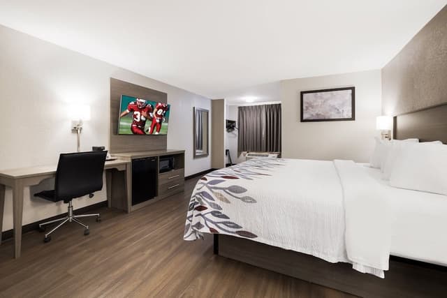 Superior Room, 1 King Bed, Non Smoking