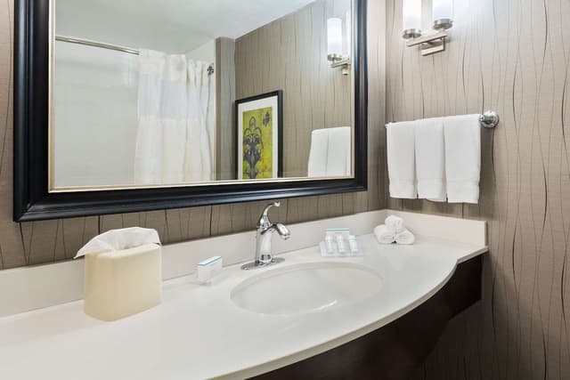 Room, 1 King Bed, Accessible