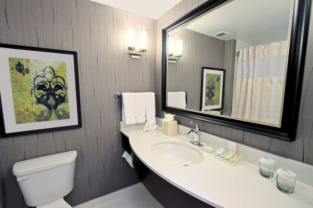 Room, 1 King Bed, Accessible