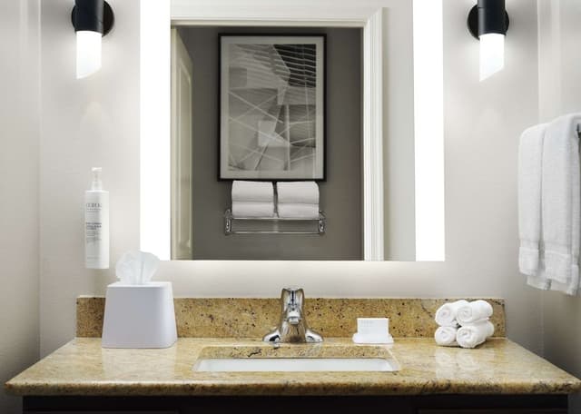 Suite, Accessible, Bathtub (Mobility/Hearing)