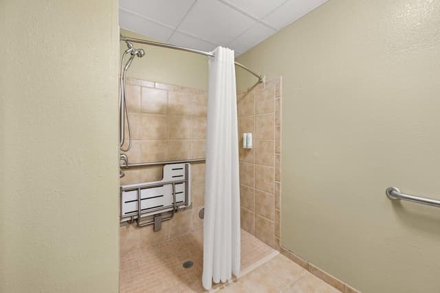 Room, 1 King Bed, Accessible, Non Smoking
