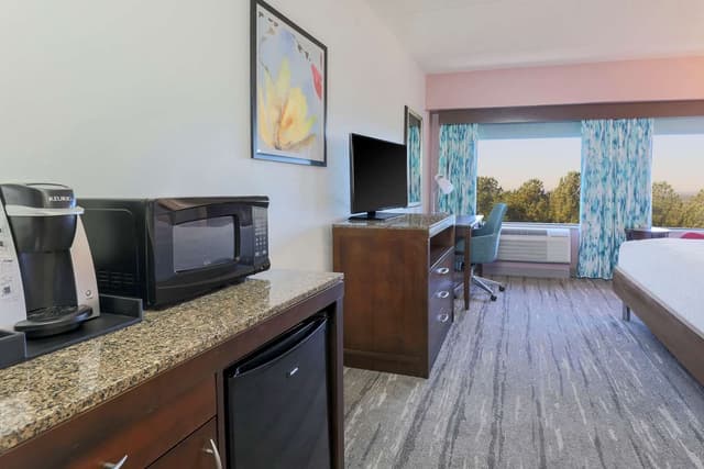 1 KING MOBILITY/HEARING ACCESSIBLE W/ BATHTUB