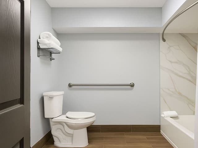 Room, 1 Queen Bed, Mobility Accessible, Non Smoking (Mobility, Roll-in Shower)