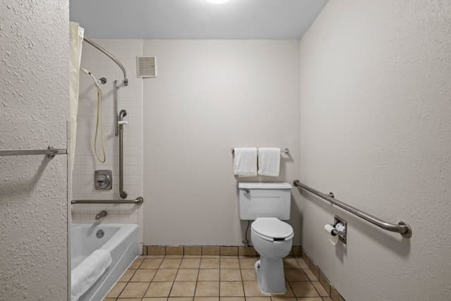 King Bed Handicapped Room