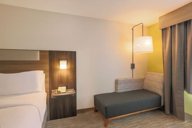 Suite, 1 King Bed with Sofa bed