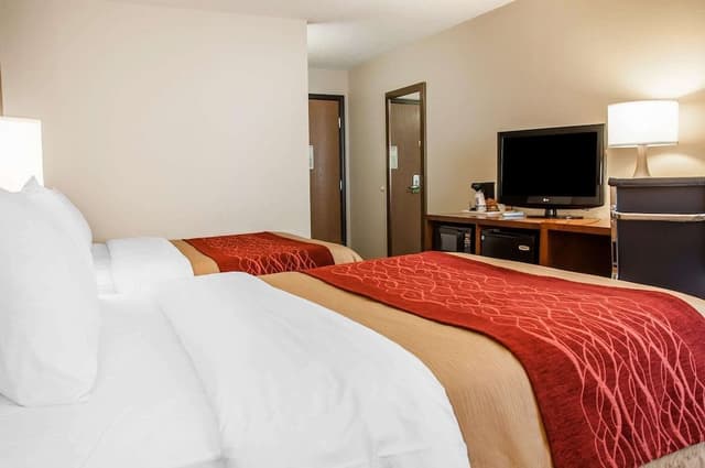 Standard Room, 2 Double Beds, Non Smoking