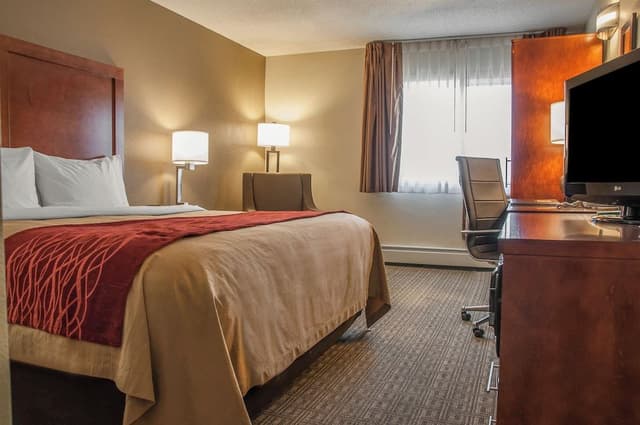 Suite, 1 King Bed, Non Smoking