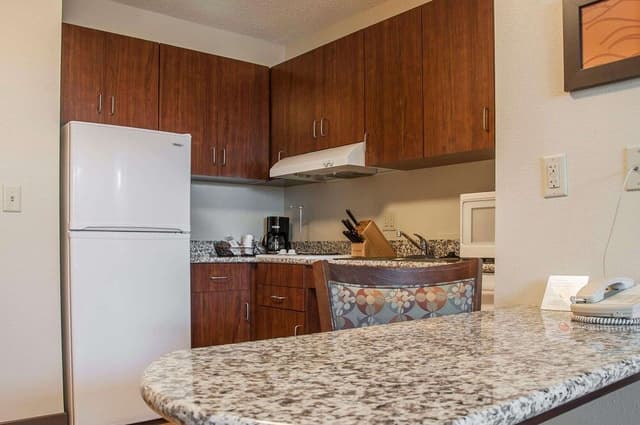 Suite, 1 King Bed with Sofa bed, Accessible, Non Smoking (Efficiency, Upgrade)