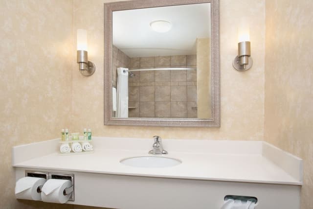 Suite, 1 King Bed