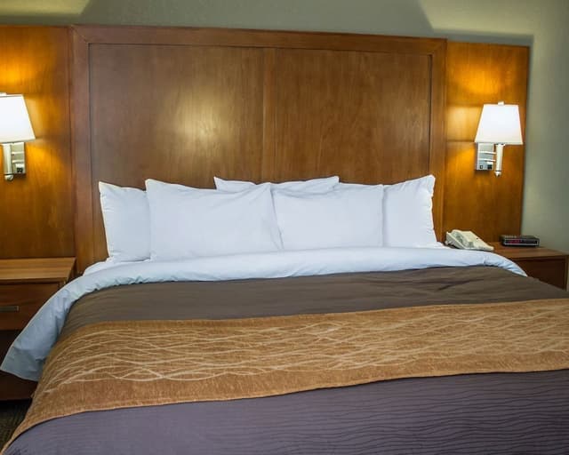 Standard Room, 1 King Bed with Sofa bed, Non Smoking