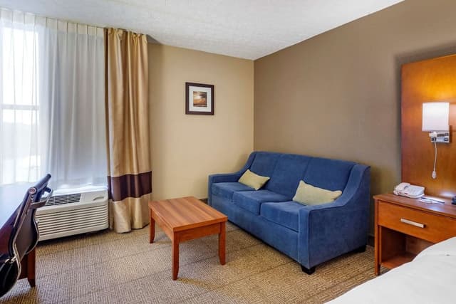 Standard Room, 1 King Bed with Sofa bed, Non Smoking