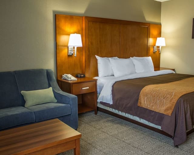 Standard Room, 1 King Bed with Sofa bed, Non Smoking