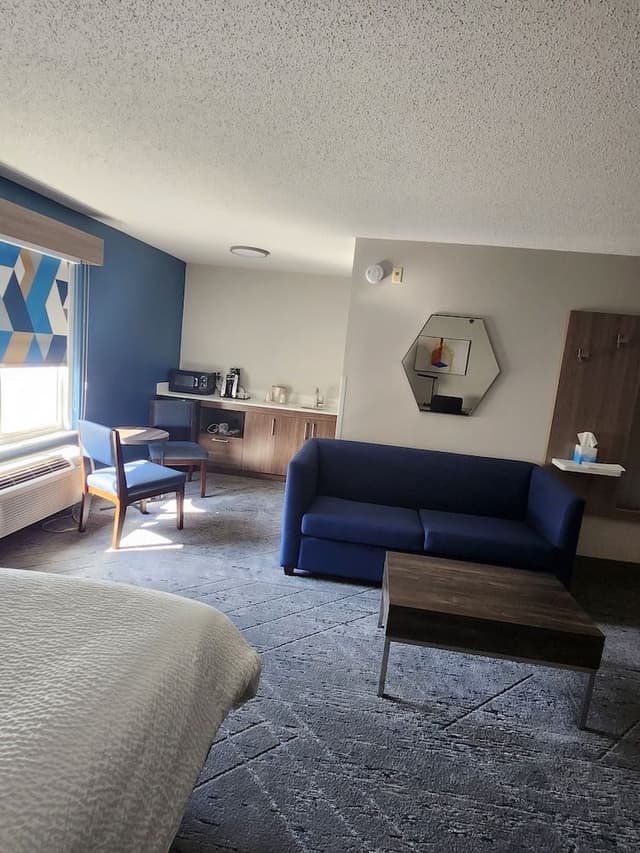 Suite, 1 King Bed with Sofa bed