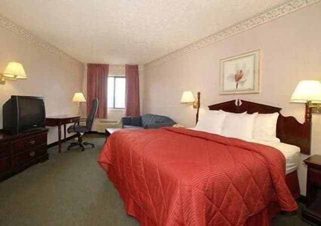 Standard Room, 1 King Bed, Non Smoking