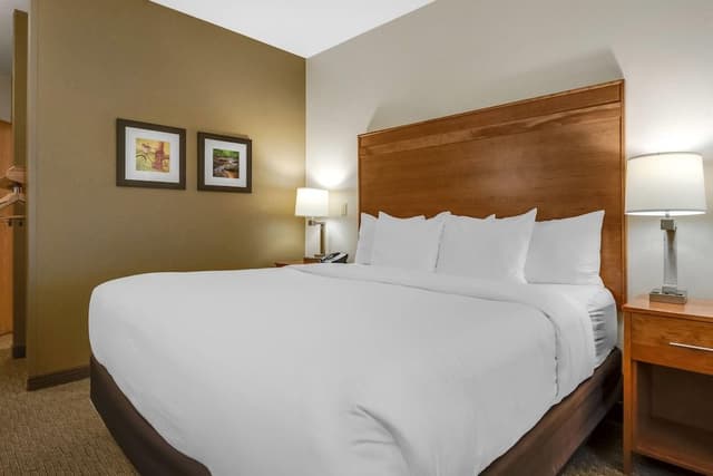 Room, 1 King Bed, Accessible, Non Smoking