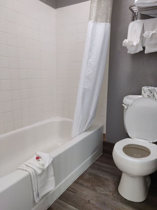 Deluxe Single Room, 1 Double Bed, Non Smoking