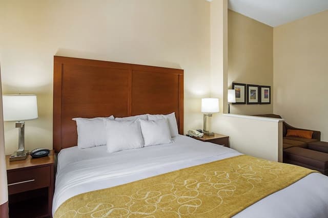 Room, Non Smoking (Kingbed with Sofa Bed)