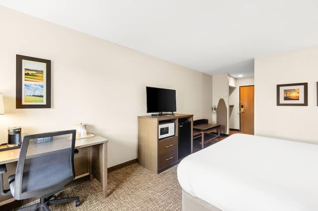 Suite, 1 King Bed with Sofa bed, Non Smoking