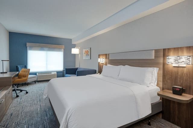 Room, 1 King Bed with Sofa bed, Accessible (Communications, Mobility)