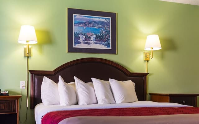 Standard Room, 1 King Bed, Non Smoking