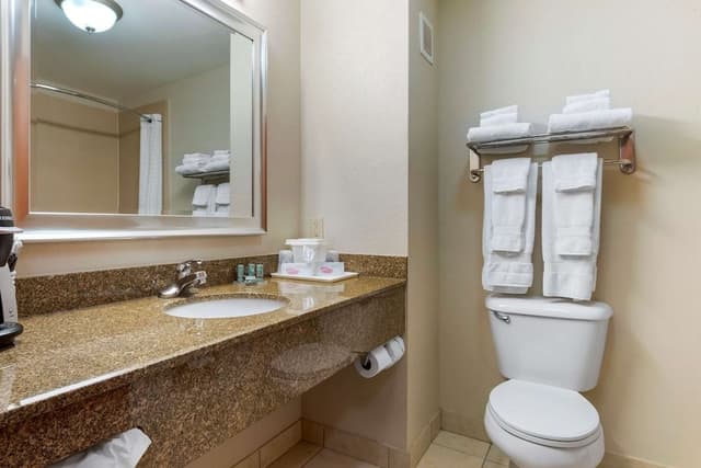 Suite, 1 King Bed, Non Smoking, Jetted Tub