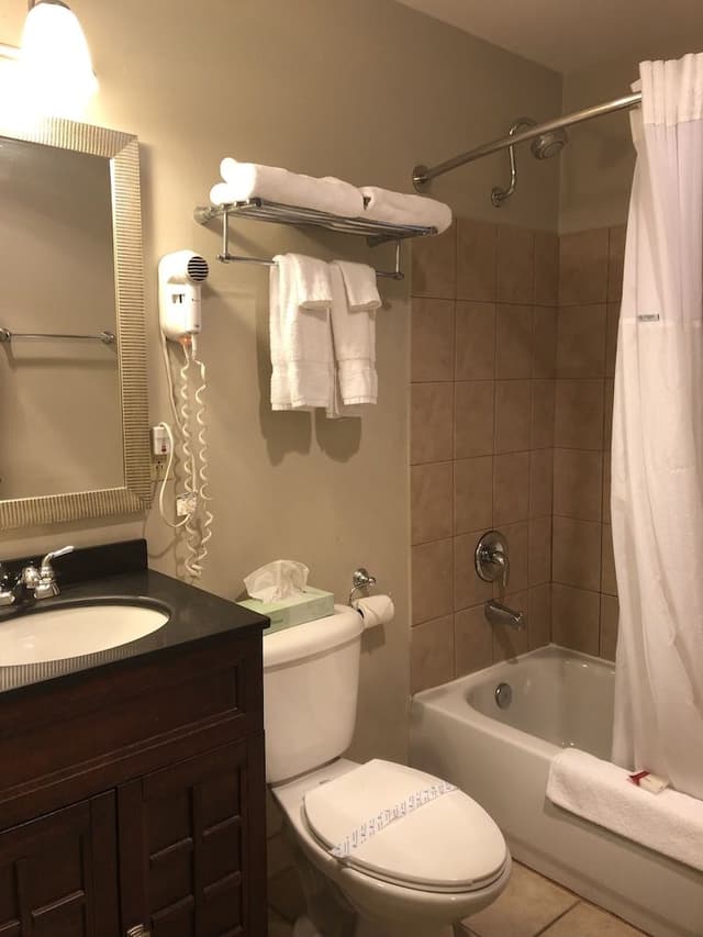 Room, 1 King Bed, Non Smoking