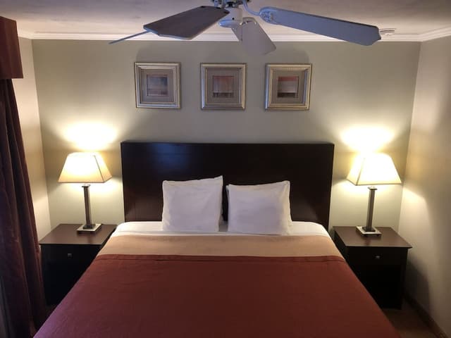 Room, 1 King Bed, Non Smoking