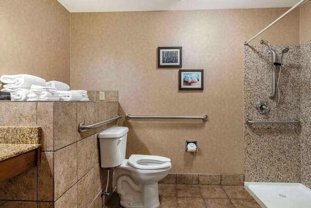 Room, 1 King Bed, Accessible, Non Smoking