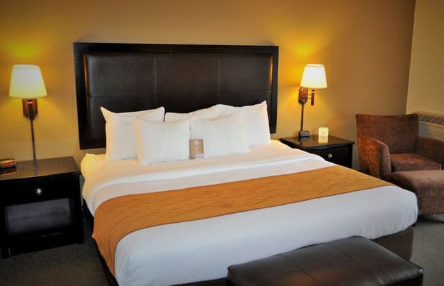Standard Room, 1 Single Bed