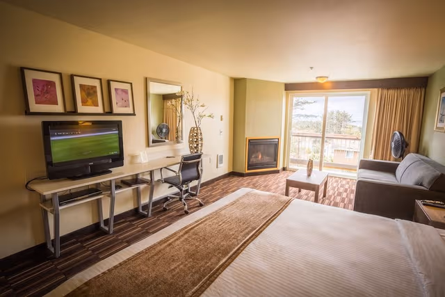 Standard Room, 1 King Bed, Fireplace, City View